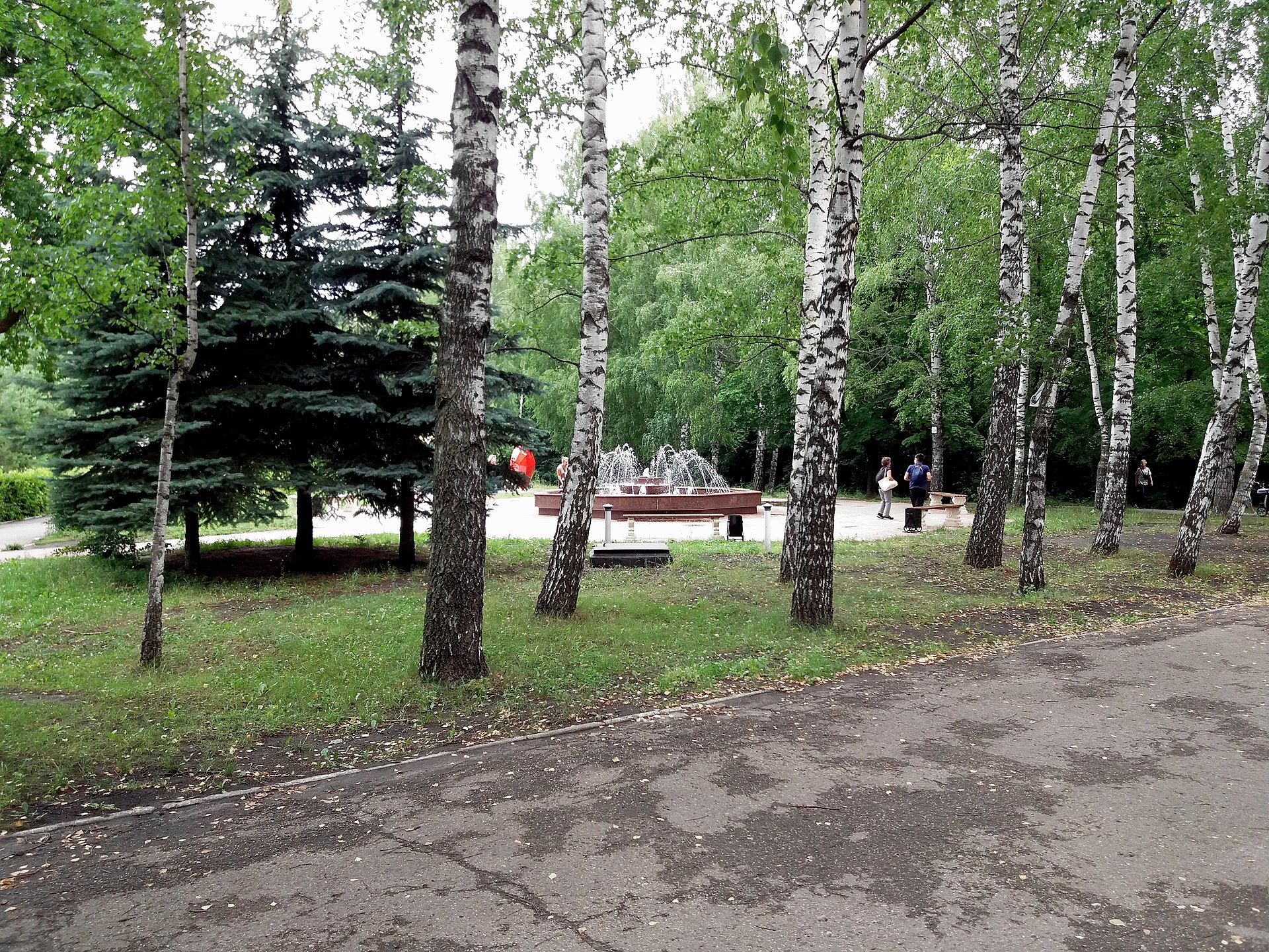 Прогулочная территория Винновской рощи. Фото: Sergey M R, CC BY-SA 4.0. — Парк «Винновская роща»
