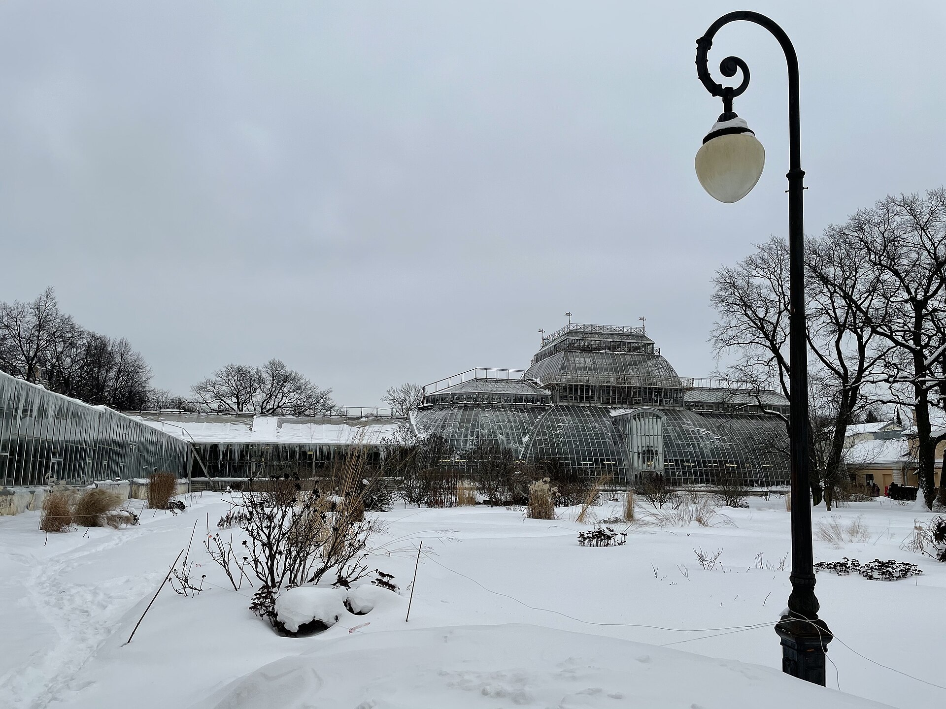 Оранжерейный комплекс ботанического сада зимой. Фото: Afanasovich, CC BY-SA 4.0. — Ботанический сад Петра Великого