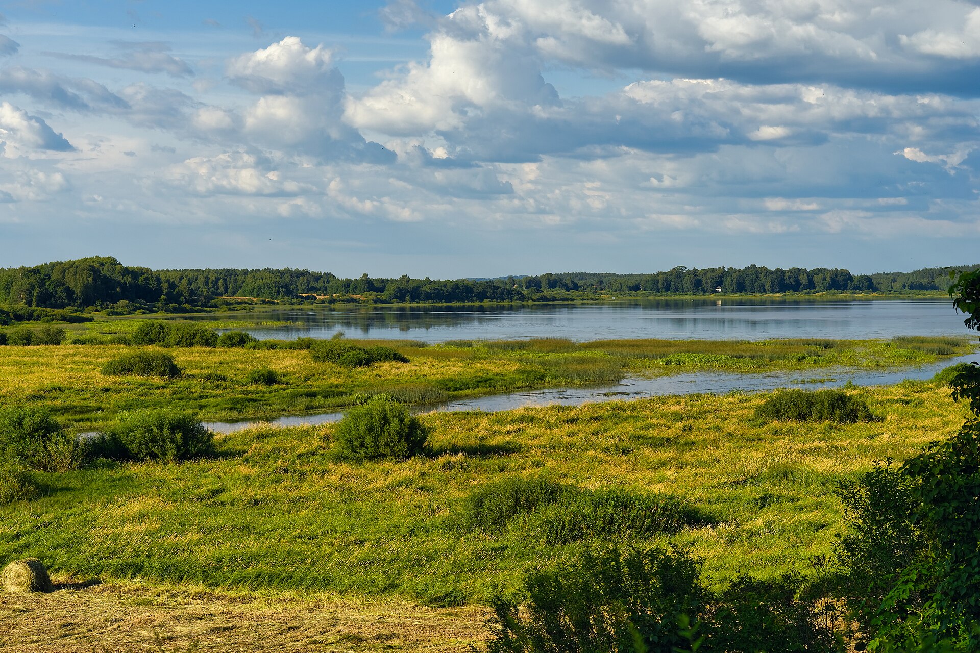 Вид на долину Сороти и озеро Кучане. Фото: Alexxx1979, CC BY-SA 4.0. — Михайловский усадебный парк