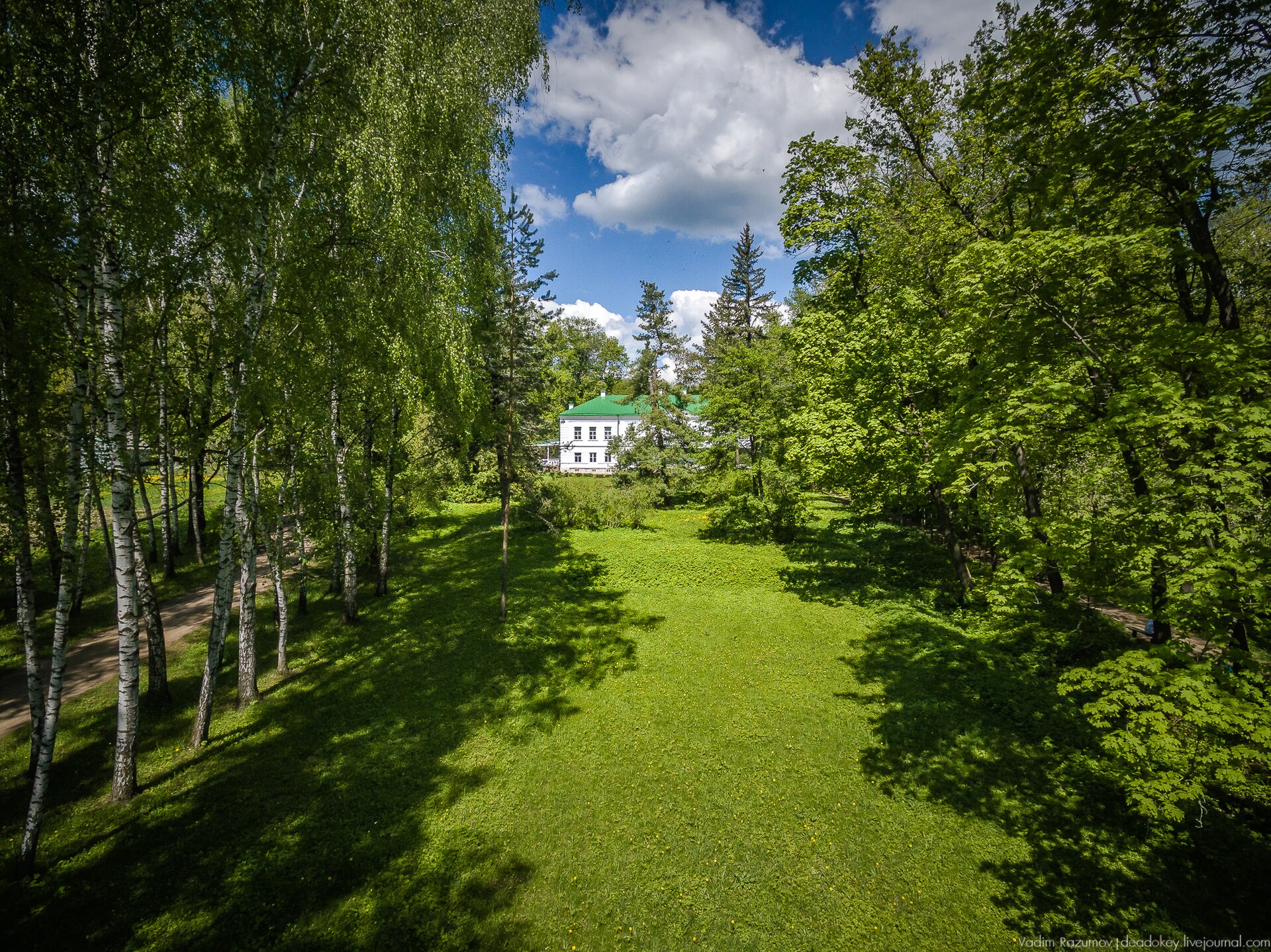 Аллея и усадебный ландшафт Ясной Поляны. Фото: Usadboved, CC BY-SA 4.0. — Музей-усадьба Л. Н. Толстого «Ясная Поляна»