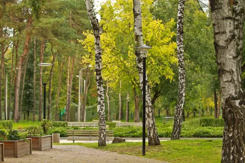 Аллея парка «Алые паруса». Фото: Козинцев, CC BY-SA 4.0.